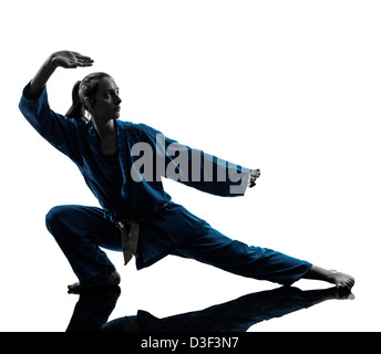 one  woman exercising karate vietvodao martial arts in silhouette studio isolated on white background Stock Photo