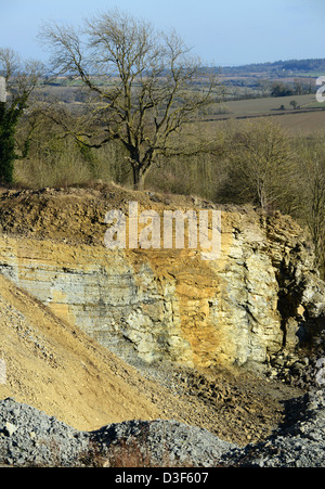 Layers of limestone revealed by quarrying of Wenlock Edge in Shrosphire England Uk. sedimentary rock formation Stock Photo