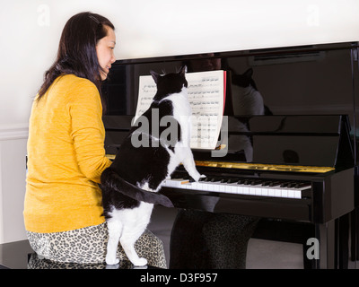Woman playing piano with cat Stock Photo - Alamy
