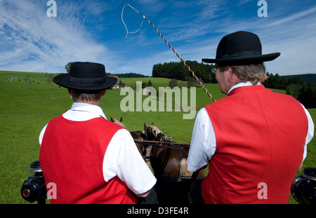 St. Märgen, Germany, father and son on a horse-drawn cart on traditional Rosstag Stock Photo
