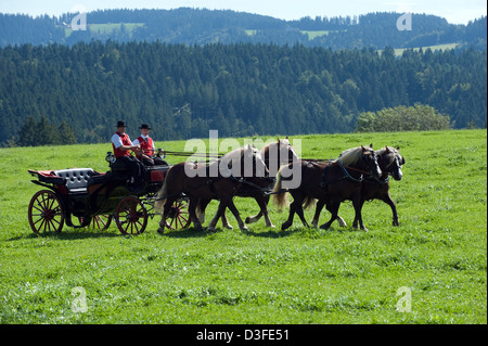 St. Märgen, Germany, men on a horse-drawn carriage on traditional Rosstag Stock Photo