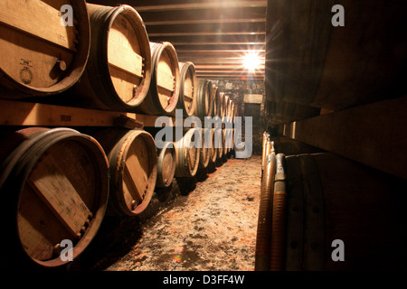 Haut-Medoc, France, the Chateau Barriquefaesser Micalet Stock Photo