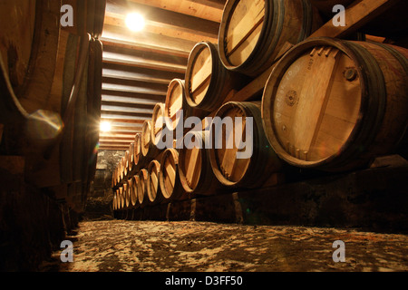 Haut-Medoc, France, the Chateau Barriquefaesser Micalet Stock Photo