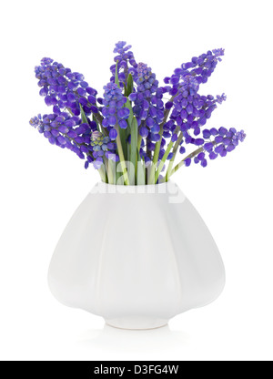 Blue hyacinth flowers in a vase. Isolated on white background Stock Photo