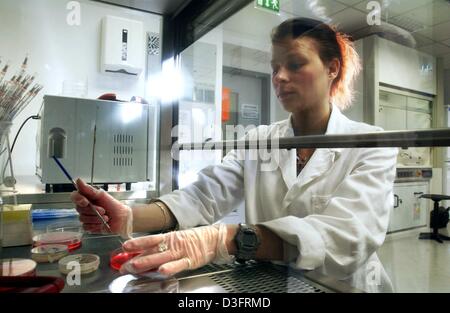 (dpa) - Student Susan Klebon conducts an experiment at the safety fume hood in the new genetic engineering lab at the University of Applied Sciences in Jena, eastern Germany, 22 January 2003.  Students majoring in genetic engineering, biotechnology, or pharmaceutical biotechnology can work in the modernly-equipped laboratory at the highest scientific level. Stock Photo