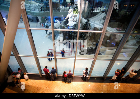 Onlookers looking into the Ski Dubai facility in Mall of the Emirates, the world's first shopping resort based in Dubai. Stock Photo