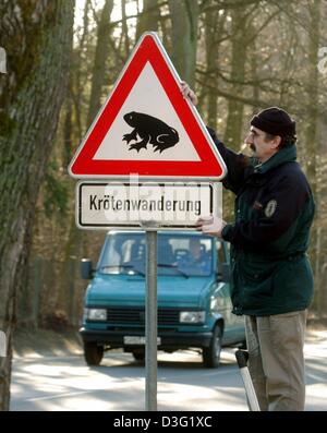 (dpa) - Activist Frank Adlung of the natural park Maerkische Schweiz sets up a danger sign which points the toad movement out to drivers in Waldsieversdorf, Germany, 13 March 2003. In the natural park Stobbertal, primarily common or european toads (Bufo bufo) and moor frogs (Rana arvalis) are presently starting to move. The mild temperatures of the last few day, have made frogs and Stock Photo