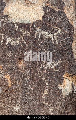 Rock Art in Saguaro N.P, Arizona, USA Stock Photo