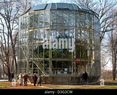 (dpa) - A mobile greenhouse protects a 8.6 m high camellia (Camellia japonica), one of Europe's oldest camellias, standing in the castle gardens of Pillnitz Castle near Dresden, eastern Germany, 24 February 2003. The greenhouse was built around the camellia in 1992 and protects the plant from the cold winter. Every year in mid May the greenhouse is pushed aside so that the camellia Stock Photo