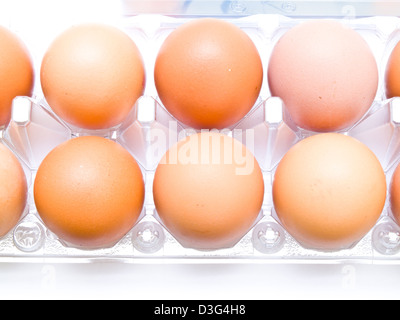 Eggs in plastic pack isolated on white background Stock Photo