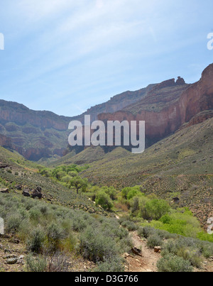 Grand Canyon National Park: Indian Garden 3700 Stock Photo