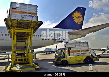 Loading Lufthansa Boeing 747 Frankfurt Airport Germany Stock Photo - Alamy
