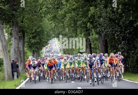 (dpa) - The pack of cyclists ride along a country lane during the first stage of the Tour de France in Belgium, 4 July 2004. The first and 202.5km long stage of the 91st Tour de France cycling race took the cyclists from Liege to Charleroi. Stock Photo