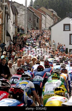 (dpa) - The field of cyclists struggles uphill during the 5th race of the world cup series in the village of Houffalize, Belgium, 25 April 2004. The race covers distance of 258,5 kilometres from Liege to Bastogne and back. Stock Photo