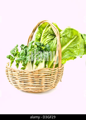 Fresh baby bok choy and cos salad in rattan basket isolated on white background Stock Photo