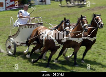 (dpa) - A chariot driver dressed in Roman style speeds up his horses during a show race at the 'Eurocheval' horse fair in Offenburg, Germany, 21 July 2004. The chariots with 4 hp reach up to 70 kmph. Stock Photo