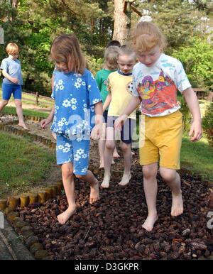 (dpa) - Kindergarten kids are walking barefoot along a Kneipp path, a path of fir cones, in Buckow, eastern Germany, 11 May 2004. The Kneipp measures which were invented in the 19th century by doctor Sebastian Kneipp aim to enhance the body's resilience against colds and infections. The basis of the therapy are walking in cold water as an ideal training for the blood vessels and ne Stock Photo