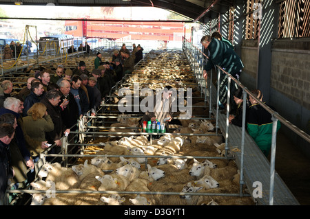 Melton Mowbray Cattle Market,Leicestershire England. Stock Photo