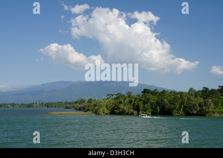 Guatemala, Rio Dulce National Park. Rio Dulce (Sweet River) runs from the Caribbean Sea inland to Lake Izabal. Stock Photo