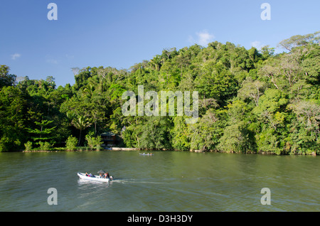 Guatemala, Rio Dulce National Park. Rio Dulce (Sweet River) runs from the Caribbean Sea inland to Lake Izabal. Stock Photo