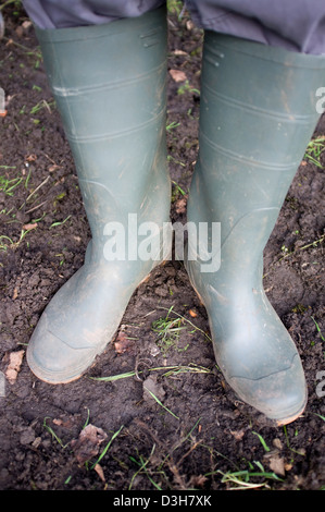 Digging and preparing the ground soil ready for planting vegetables, fruit and flowers. Stock Photo