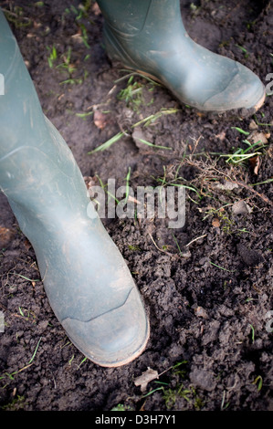 Digging and preparing the ground soil ready for planting vegetables, fruit and flowers. Stock Photo