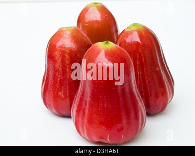 Rose apples, Syzygium jambos, on hand isolated on white Stock Photo