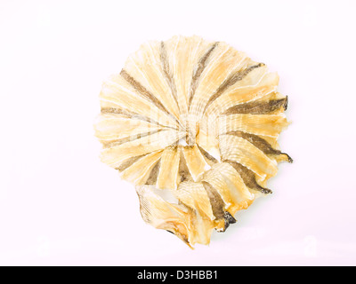 Round dried fishes from Thailand isolated on white background Stock Photo