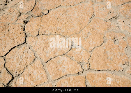 Ground splitting apart by large cracks in the heat Stock Photo