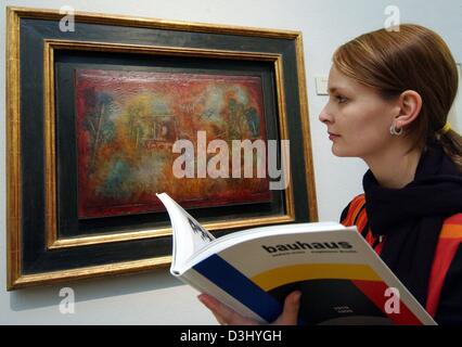 dpa-a-visitor-examines-