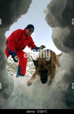 (dpa files) - Mountain rescuer Thomas Heifling and his rescue dog Droll search in a whole of snow for the victims of an avalanche during a rescue exercise near the peak of the Zugspitze, Germany's highest mountain, in Germany, 15  January 2003. The German mountain rescue service issued avalanche warnings after heavy snow storms in the Alps. The situation is particularly unpredictab Stock Photo