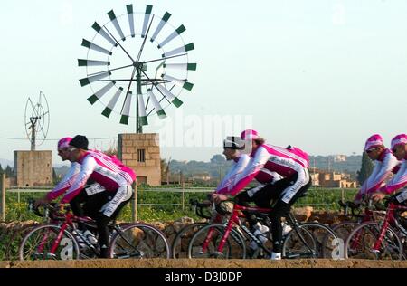 (dpa) - The cycling pros of Team T-Mobile ride with their bicycles through a picturesque countryside during a practice tour on the Balearic Island of Majorca, near Palma de Mallorca, Spain, 13 January 2004. The team attends a training camp for the next two weeks. Jan Ullrich, who suffered from flu, is expected to join the team on 14 January 2004. Stock Photo