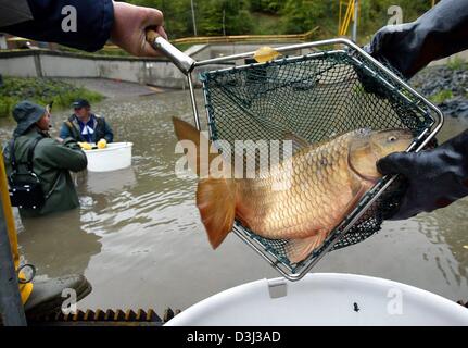 Used for fishing fishing carp fishing hi-res stock photography and images -  Alamy