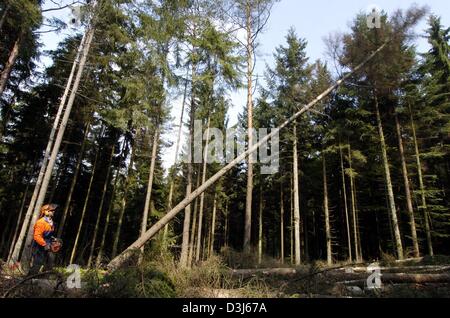 (dpa) - A forest worker cuts down a tree in Saldenberg, Germany, 11 May 2004. Stock Photo