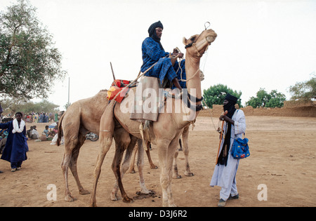 Tuareg tribesmen in traditional dress with their camels at a weekly livestock market. Gorom Gorom, Burkina Faso Stock Photo