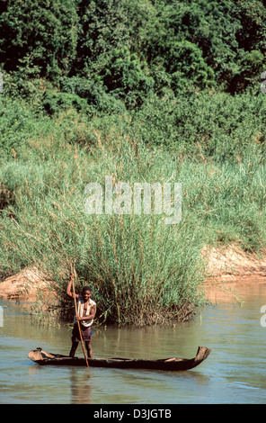 Man punting a dugout canoe with a pole on River LImpopo. Xai Xai District, Mozambique Stock Photo