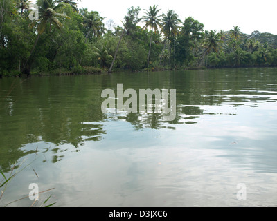 This picture was taken from Poovar-Trivandrum, a trip through the backwaters of Kerala Stock Photo