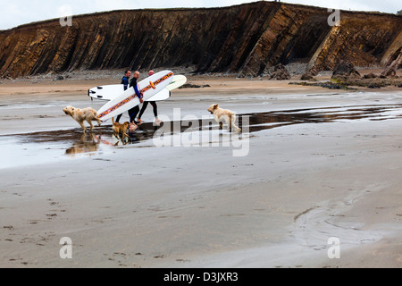 Three men and their dogs, carry surf boards and head up Black Rock Beach, Widemouth Bay, nr Bude, Cornwall, UK Stock Photo