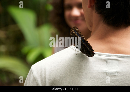 Beautiful butterfly lands on mans shoulder Stock Photo