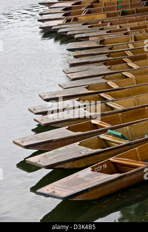 Line row of Punts moored on River Cam The Backs Cambridge Cambridgeshire England Europe Stock Photo