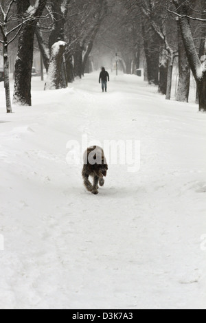 People out and about during active winter weather in Montreal, Quebec. Stock Photo