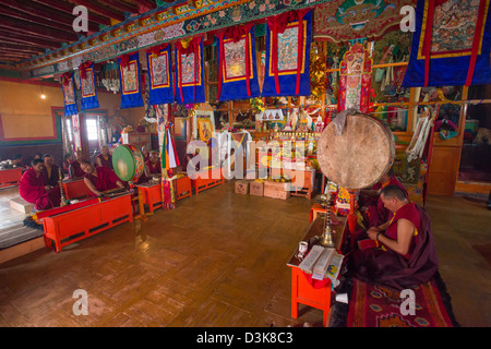 Chanting in the prayer hall at the Tak Tkok Tse Chu festival at Tak Thok Gompa, (Ladakh) Jammu & Kashmir, India Stock Photo