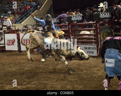 Cowboy riding bucking bull during the National Finals Rodeo in Oklahoma City, Oklahoma, USA Stock Photo