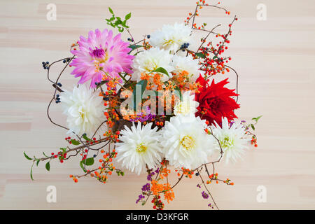 Dahlia and Bittersweet flowers in a vase Stock Photo