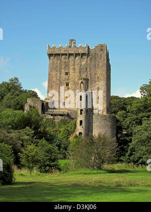 The Blarney Castle in County Cork, Eire Stock Photo