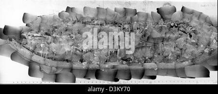 A photographic mosaic of ironclad warship USS Monitor composed of individual photographs taken from the research ship Alcoa Seaprobe in April 1974, when Monitor's wreck was initially discovered. Monitor lies upside down, in badly damaged condition, off Cape Hatteras, North Carolina. In this image, her bow is to the right, with her turret displaced and visible in the lower left, with the hull resting atop it. Stock Photo