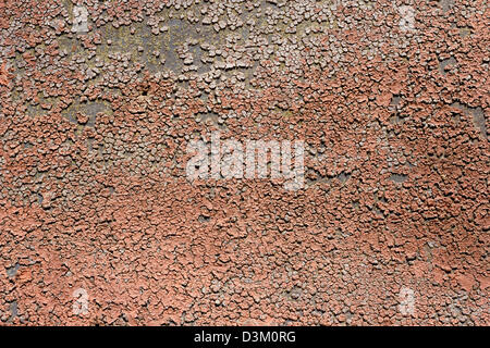 Detailed wall texture Stock Photo
