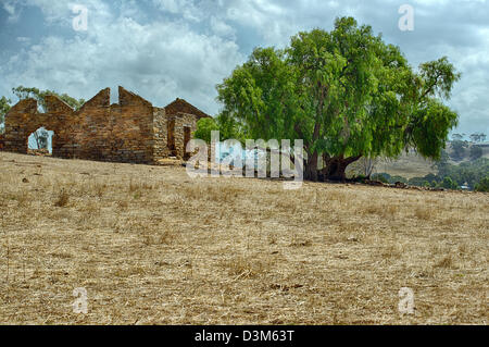 Ruins of an old homestead sits in a dry farm yard in drought stricken South Australia. Stock Photo