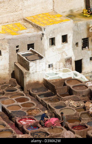 Labourers working in the dyeing pits of the Chouara Tannery with dwellings behind, Fes, Morocco Stock Photo