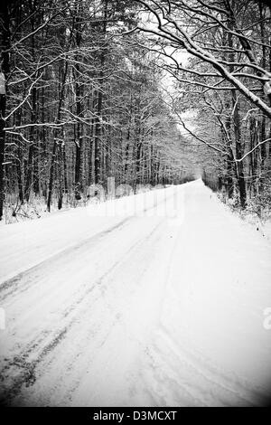 Pine forest in winter with lots of snow, black and white Stock Photo ...